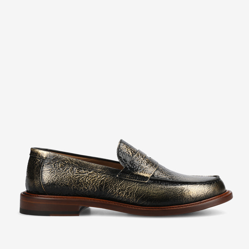 Metallic loafer shoe on a white background